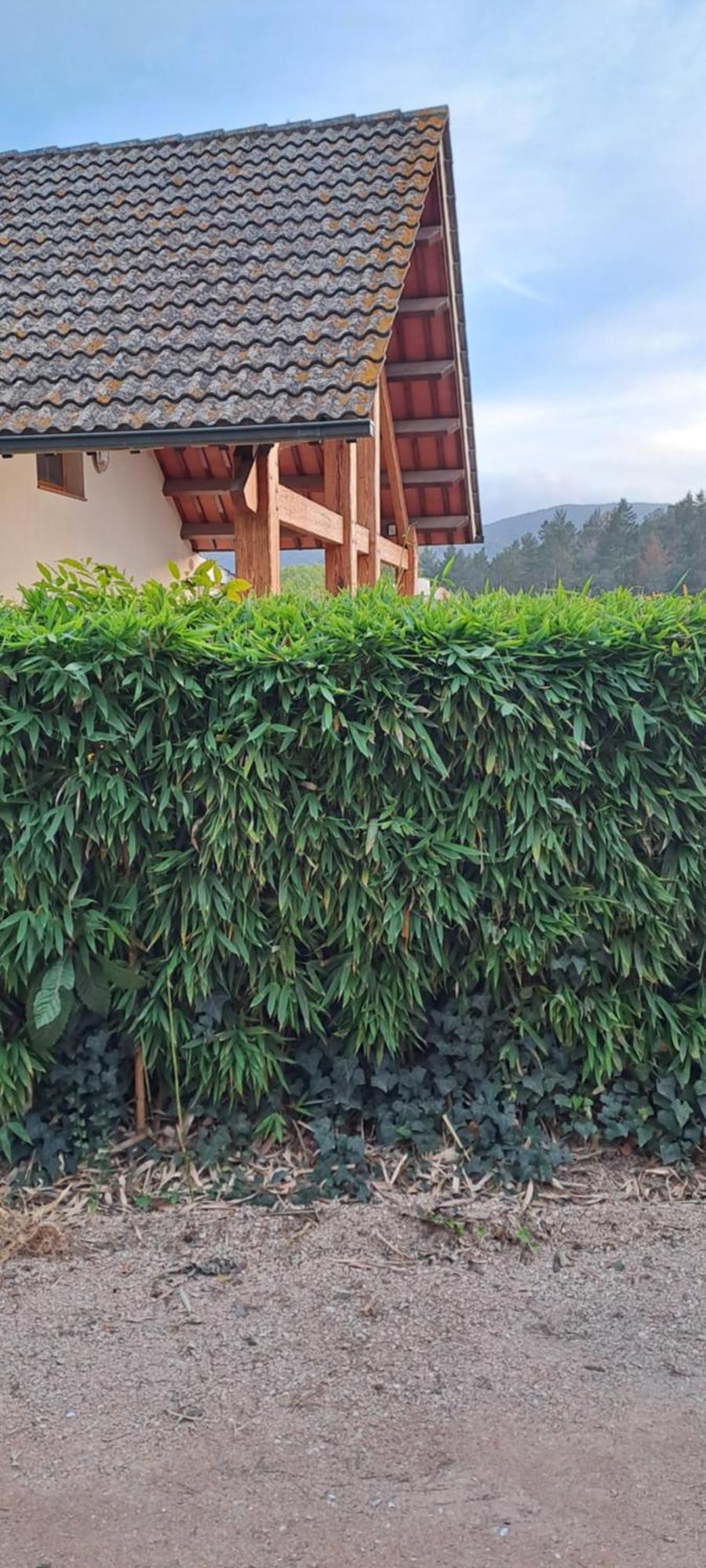 Chalet Entre Parques Naturales Vallgorguina المظهر الخارجي الصورة